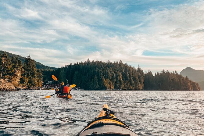 Half-Day Guided Sea Kayaking Adventure in Telegraph Cove - Key Points