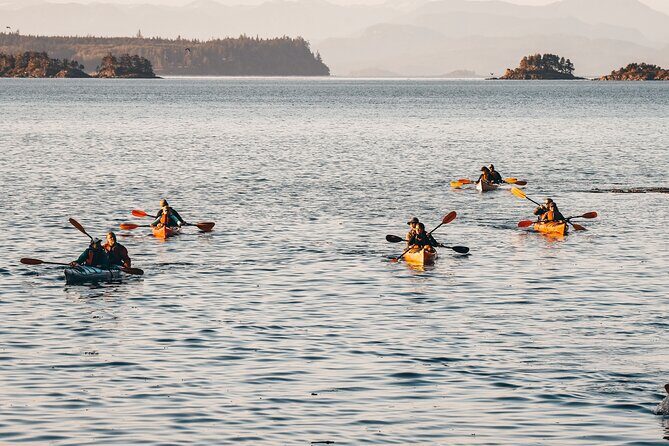 Half-Day Guided Sea Kayaking Adventure in Telegraph Cove - An In-Depth Look at the Experience