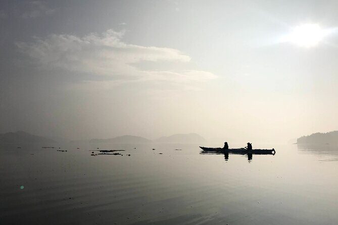 Half-Day Guided Sea Kayaking Adventure in Telegraph Cove - FAQ