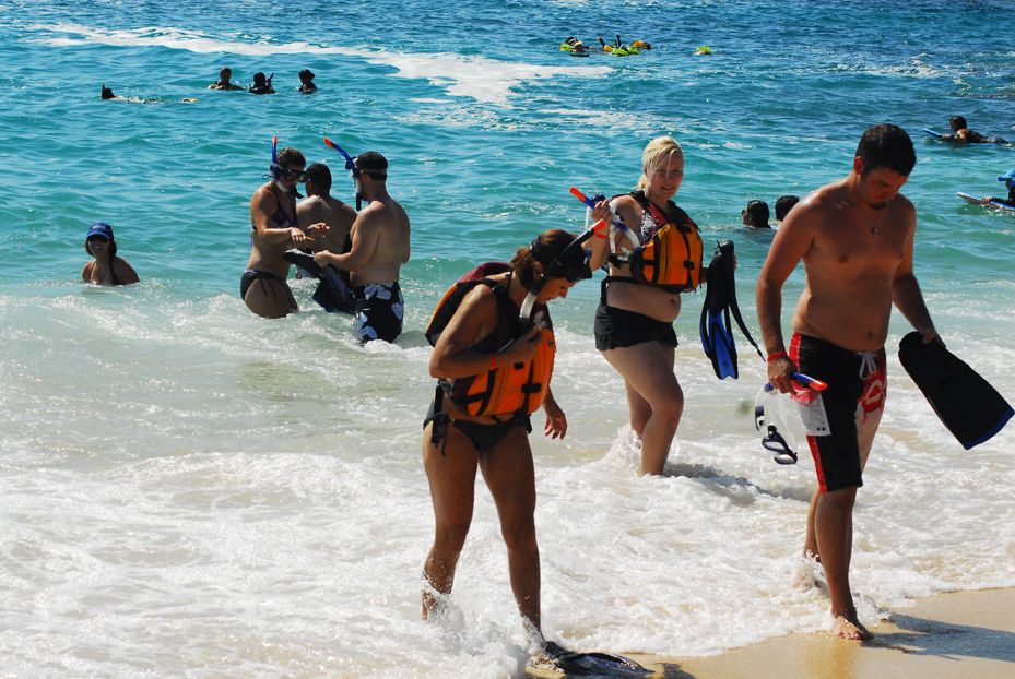 Half Day Guided Snorkel Tour in Los Cabos - Key Points