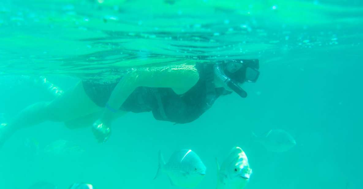 Half Day Guided Snorkel Tour in Los Cabos - Pickup and Drop-off Options