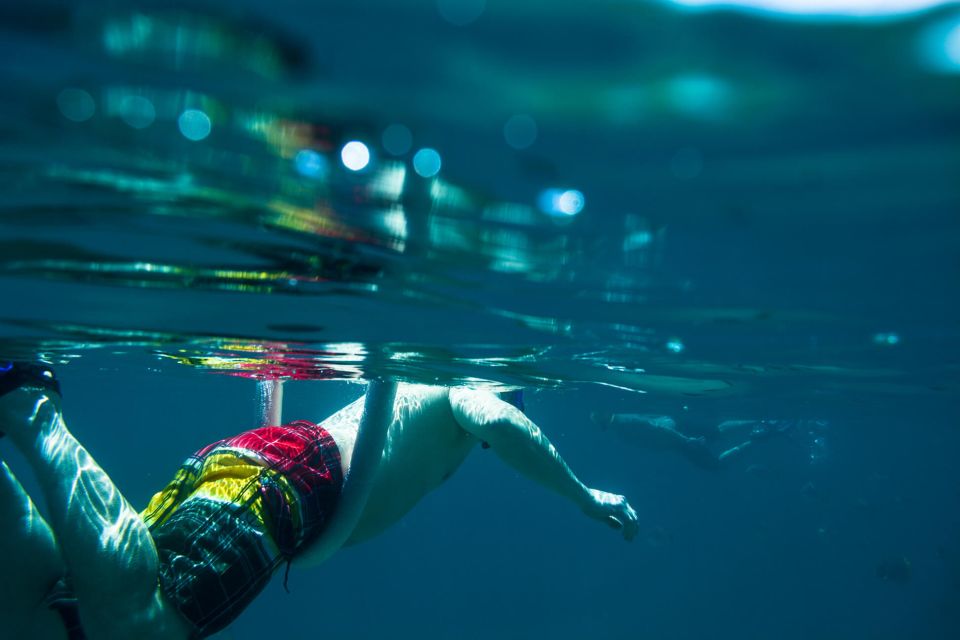 Half Day Guided Snorkel Tour in Los Cabos - Recommended Start Time