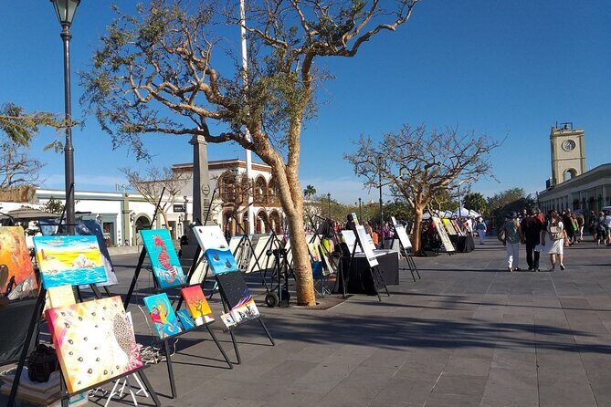 Half-Day Guided Tour in San José del Cabo Art and Beer Tasting - The Sum Up: Is It Worth It?