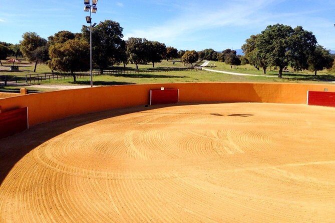 Half-Day Guided Tour to a bull farm in Madrid - An In-Depth Look at the Bull Farm Tour in Madrid