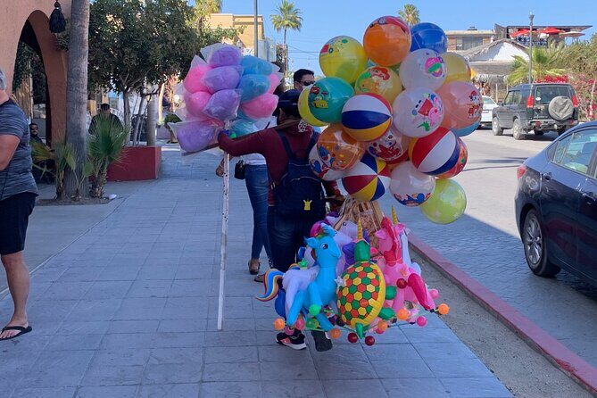 Half-Day: Guided Tour to Todos Santos Magical Town - Iconic Landmarks and Local Culture