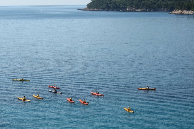 Half Day Guided Zaton Bay Kayak, Swim, and Snorkel Tour in Dubrovnik - Safety Measures