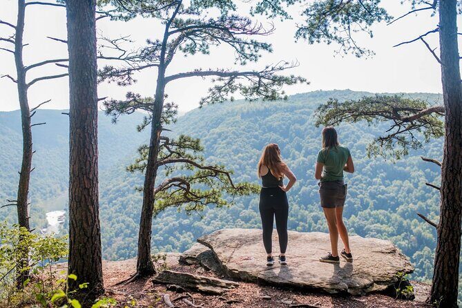 Half Day Hike in New River Gorge National Park & Preserve - Introduction: What You Can Expect from the Half Day Hike in New River Gorge