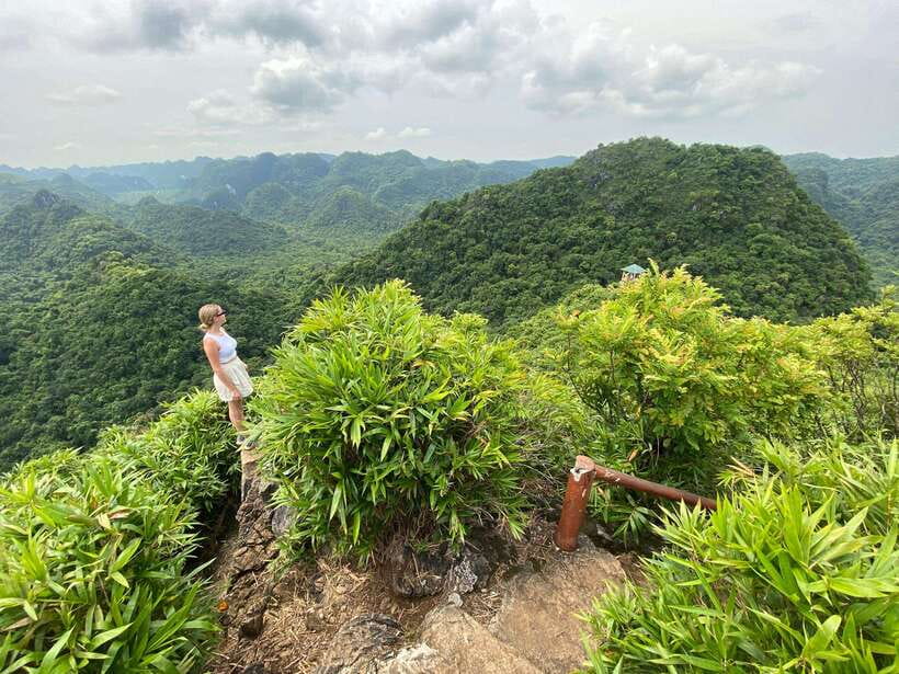 Half Day Hiking to Cat Ba National Park With a Guide - Activity Overview
