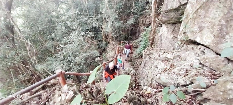 Half Day Hiking to Cat Ba National Park With a Guide - Exploring Ngu Lam Peak