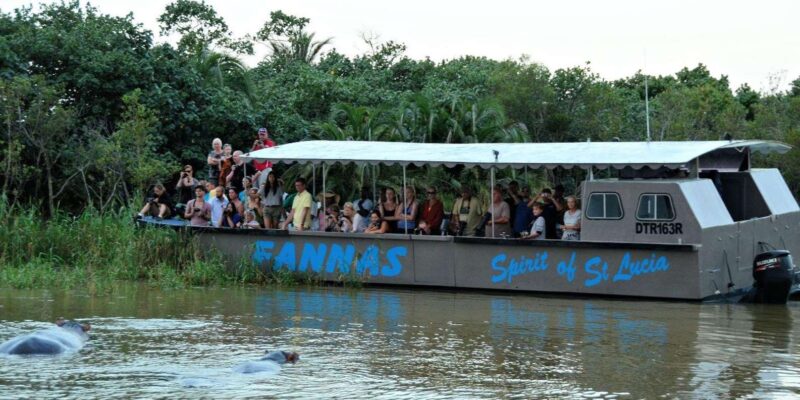 Half Day Hippo Boat Safari Isimangaliso Wetlands From Durban - Good To Know