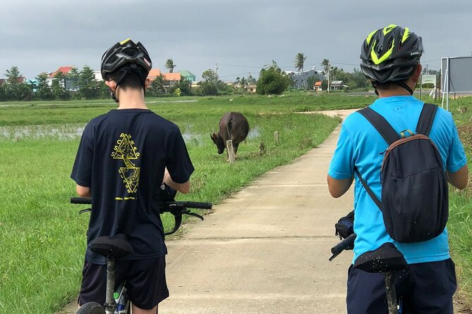 Half-day Hoi An Countryside Bike Tour - Scenic Views at Cam Kim Bridge