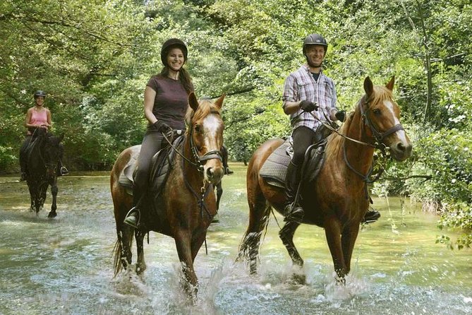 Half-Day Horseback Ride in Tuscany - Riding Lesson and Horse Selection