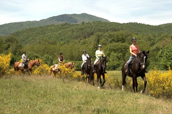 Half-Day Horseback Ride in Tuscany - Scenic Routes and Destinations