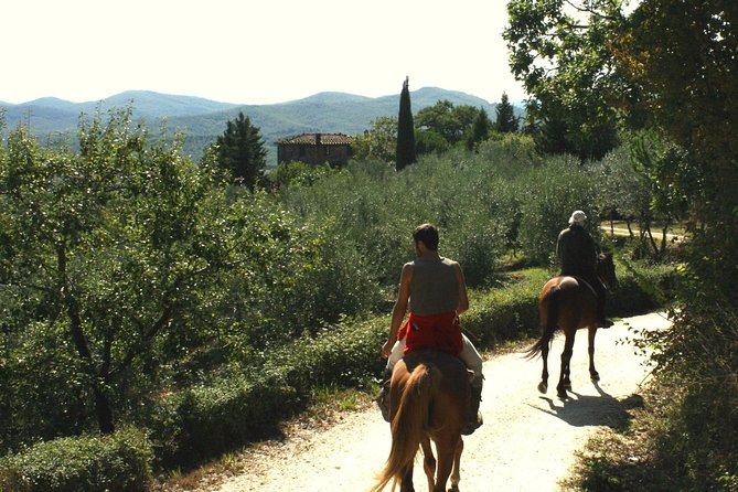 Half-Day Horseback Ride in Tuscany for Beginner Riders - Multi-lingual Guides for Diverse Participants