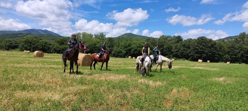 Half-day horseback riding day trip in Tuscany for beginners - Key Points