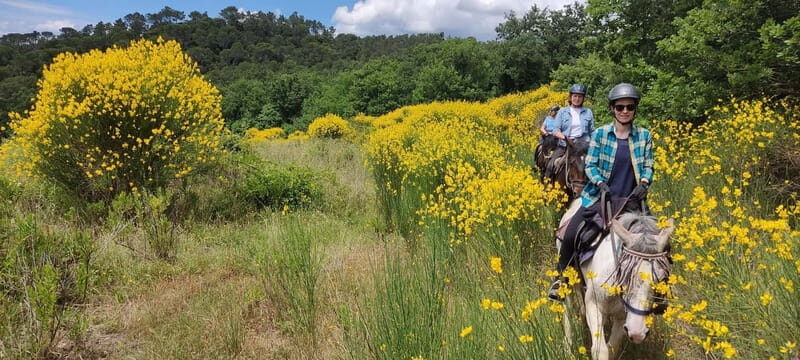 Half-day horseback riding day trip in Tuscany for beginners - What to Expect on Your Tuscany Horseback Ride