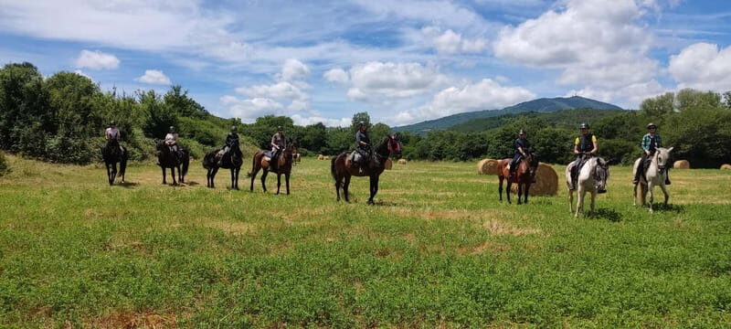 Half-day horseback riding day trip in Tuscany for beginners - What’s Included & Practical Details