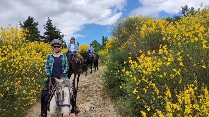 Half-day horseback riding day trip in Tuscany - What to Expect on Your Tuscany Horseback Ride