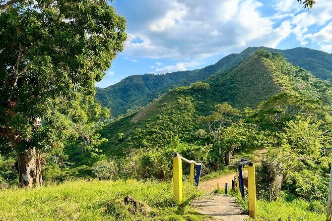 Half-day Horseback Riding through the Mountains Punta Cana - Additional Considerations