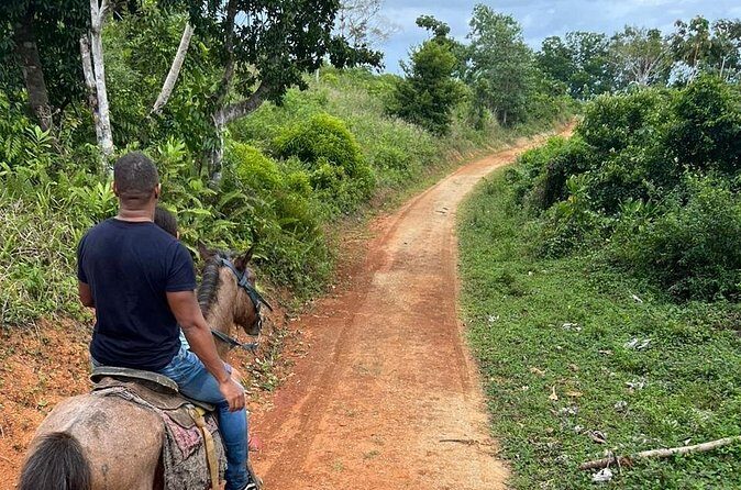 Half-day Horseback Riding through the Mountains Punta Cana - Final Thoughts: Who Should Consider This Tour?