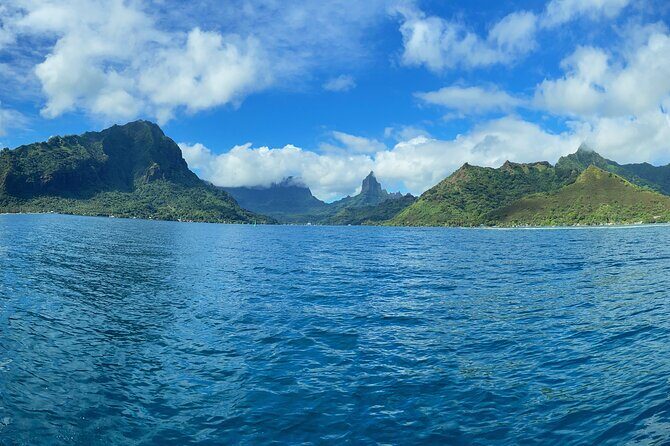 Half-Day Humpback Whales Encounter in Moorea - Key Points