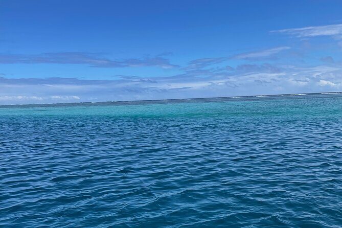 Half-Day Humpback Whales Encounter in Moorea - Who Will Love This Tour?