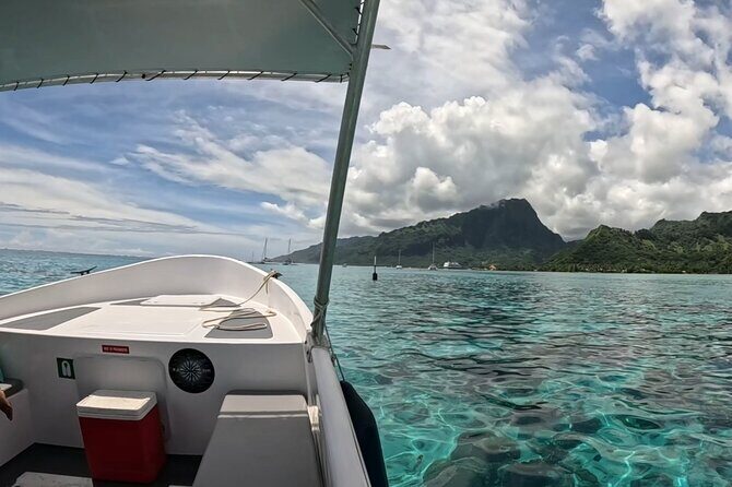 Half-Day Humpback Whales Encounter in Moorea - Final Thoughts