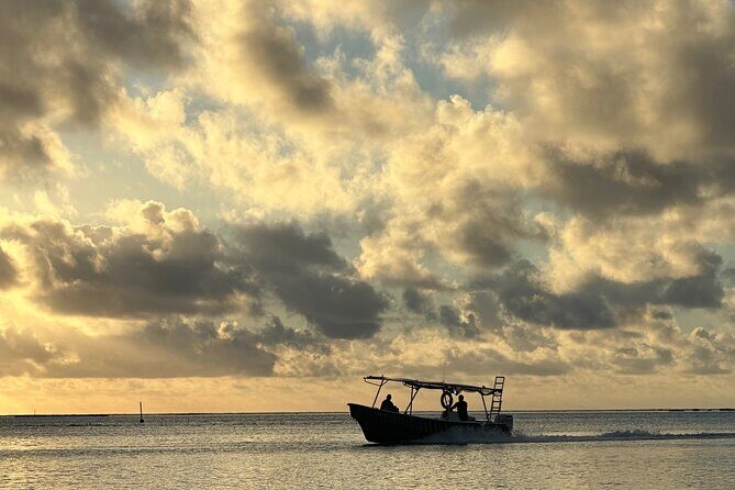 Half-Day Humpback Whales Encounter in Moorea - FAQ
