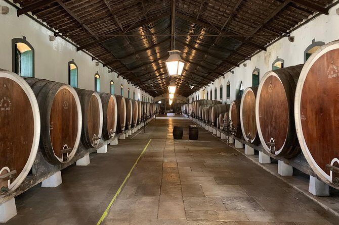 Half Day in Sintra and Cabo da Roca with Wine Tasting - Final Thoughts: Who Will Appreciate This Tour?