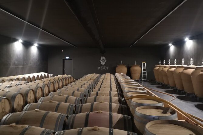 Half-Day in the Bordeaux Vineyard and Wine Tastings - Tasting the Wines