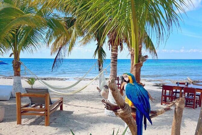 Half-Day Island Tour with Mayan Experience & Beach Break - The Sum Up