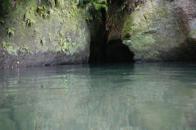 Half Day Jeep Safari - Pricing and Group Size