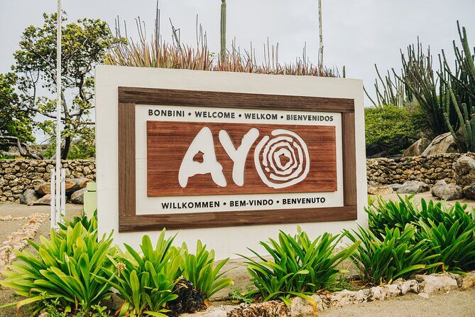 Half-Day Jeep Tour in Aruba - Final Thoughts: Is It Worth It?