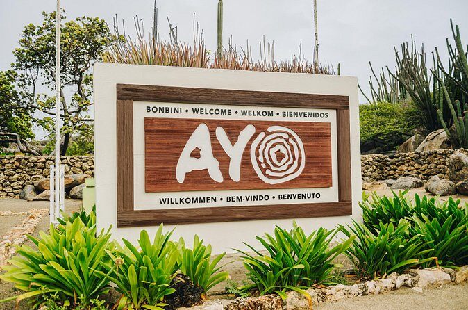 Half-Day Jeep Tour in Aruba - FAQs