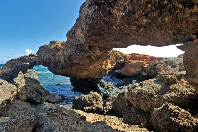 Half-Day Jeep Tour in Aruba - Customer Experience