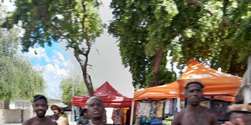 Half Day Johannesburg and Soweto Guided Tour - Inclusions