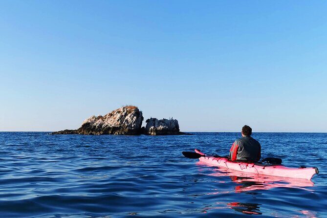 Half-Day Kayak Tour in Vrsar Archipelago - Key Points