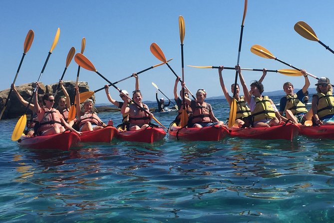 Half Day Kayak Trip - Tour Overview