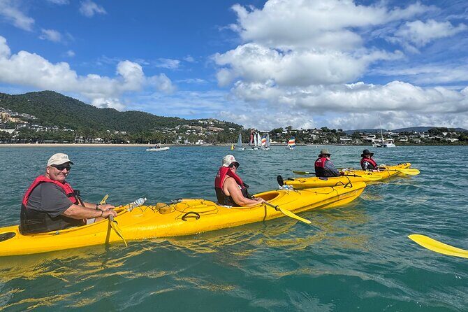 Half Day Kayak Turtle Tour - An In-Depth Look at the Experience