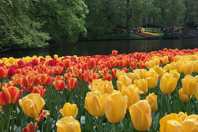 Half Day Keukenhof Tulip Paradise Trip From Amsterdam - Meeting and Pickup Details