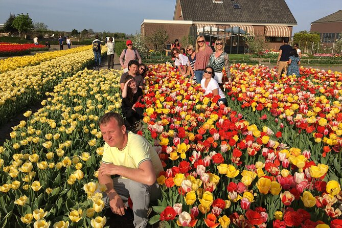 Half Day Keukenhof Tulip Paradise Trip From Amsterdam - Pricing and Booking Information