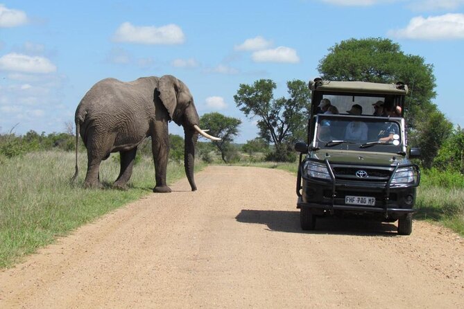Half Day Kruger Open Vehicle Safari From Marloth Park - Included Amenities