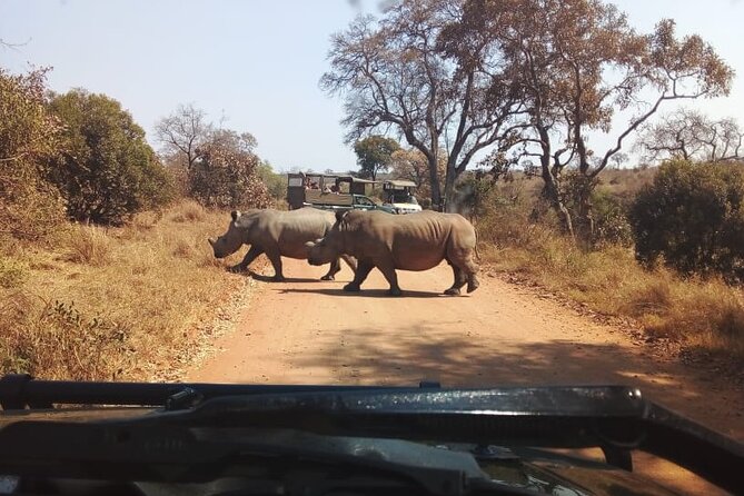 Half Day Kruger Open Vehicle Safari From Marloth Park - Booking Information