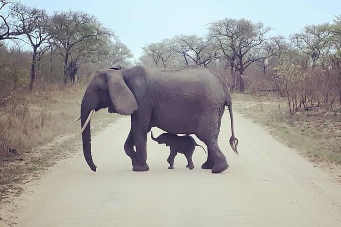 Half Day Kruger Open Vehicle Safari From Marloth Park - Frequently Asked Questions