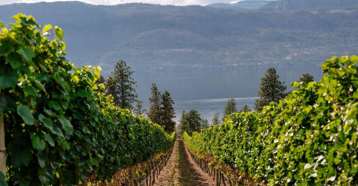 Half-Day Lake Country Wine Tour - Booking and Cancellation