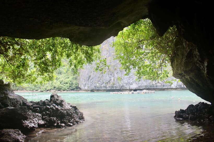 Half Day Lan Ha Bay Excursion ( 4 Hours ): Kayaking, Snorkel - Marine Life in Lan Ha Bay