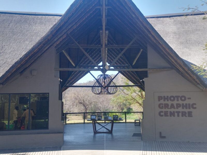 Half Day Lion Park - Experience Highlights
