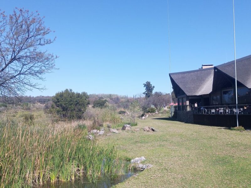 Half Day Lion Park - Important Information
