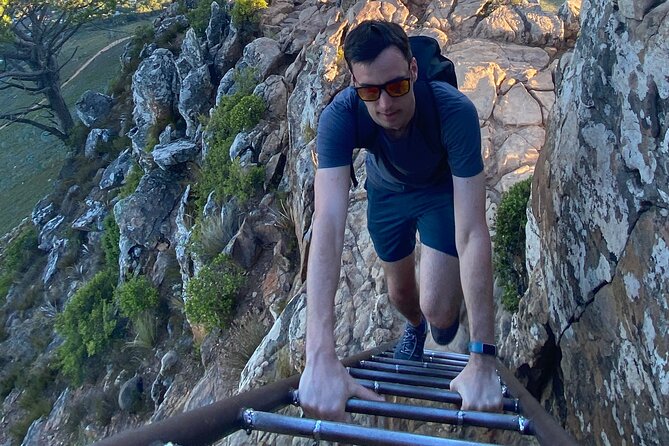 Half-day Lions Head Hike in Cape Town - Meeting and Pickup