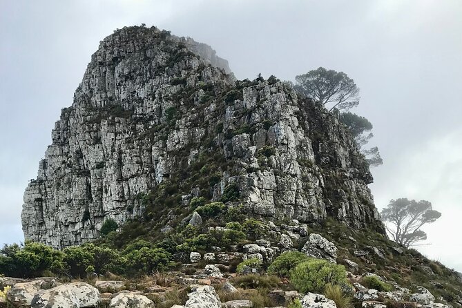 Half-day Lions Head Hike in Cape Town - Exploring Lions Head